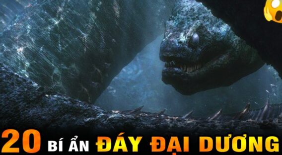 Screenshot 8 568x312 1