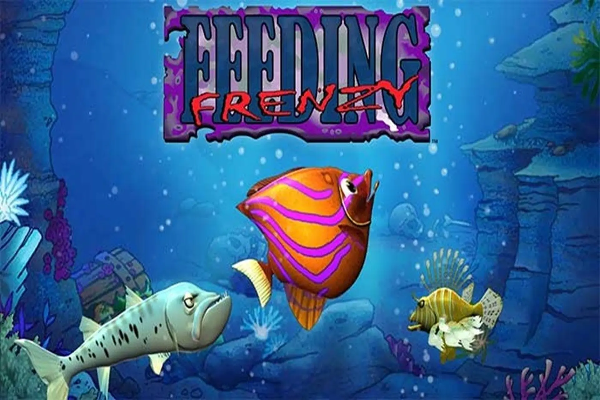 Game Cá Lớn Nuốt Cá Bé Hành Trình Tuổi Thơ Đầy Ký Ức 6 Game Cá Lớn Nuốt Cá Bé Hành Trình Tuổi Thơ Đầy Ký Ức
